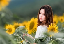 乌龙茶韵，平衡身心——乌龙茶的和谐功效